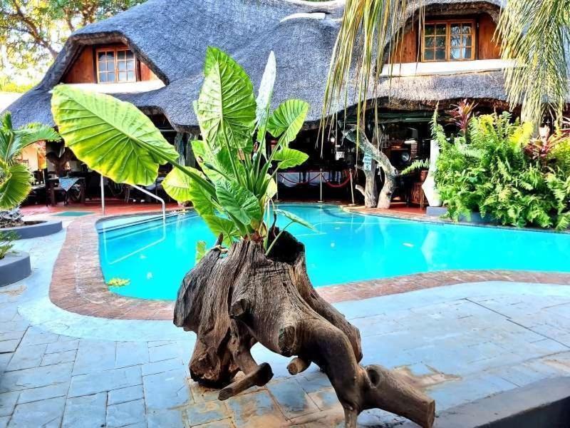 Dei Gratia Guest House Musina Exterior photo